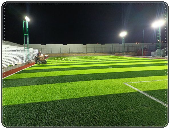  الملاعب الرياضية